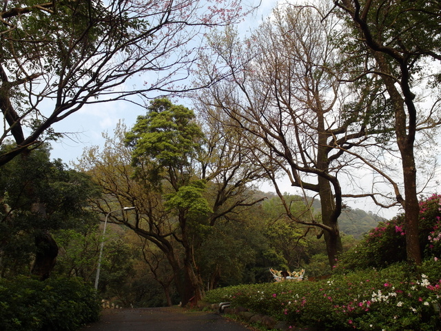 橫嶺古道 (17).JPG