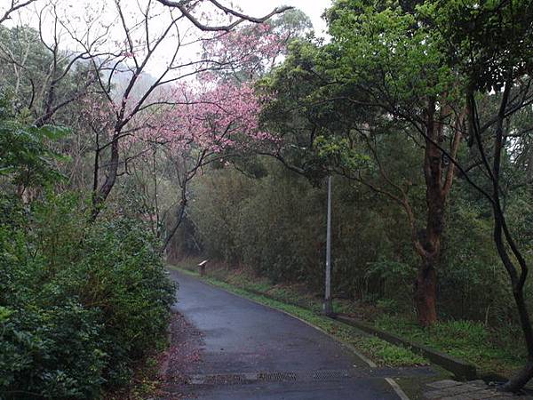 橫嶺古道 (18).JPG