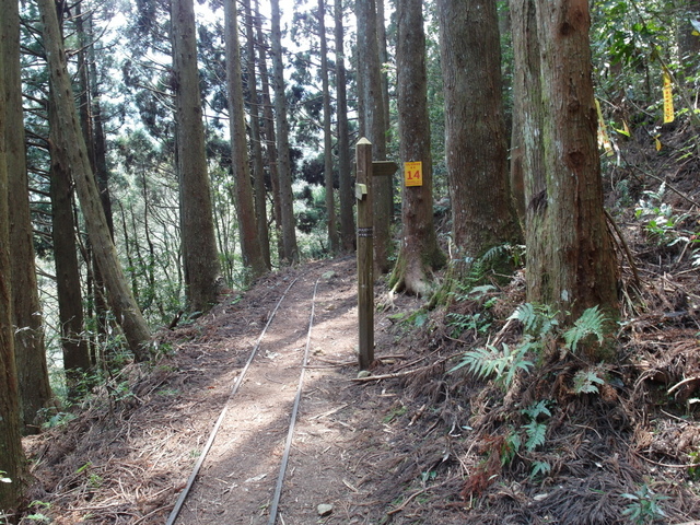 加里山 (79).JPG