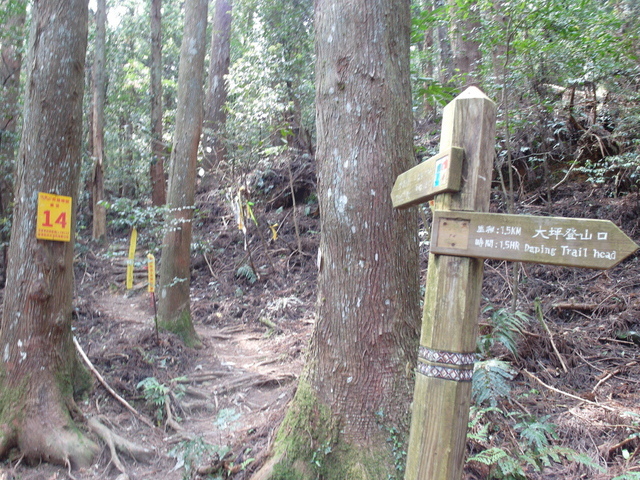 加里山 (80).JPG