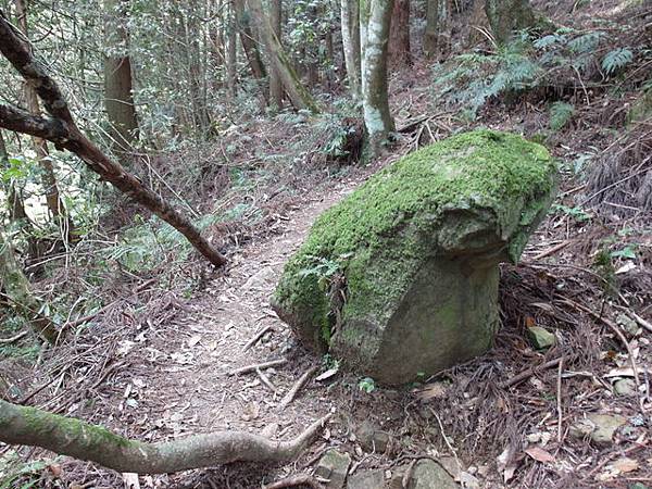 加里山 (99).JPG