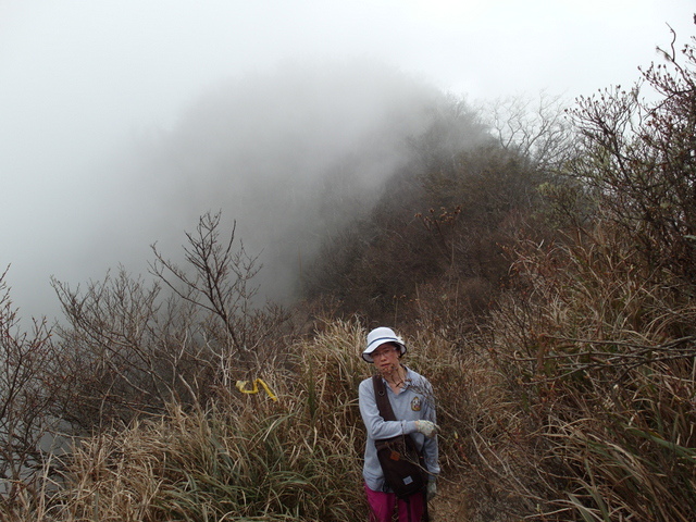 加里山 (126).JPG