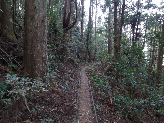 加里山 (179).JPG