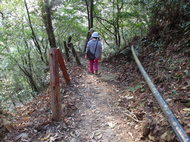 加里山 (185).JPG