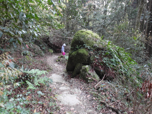 加里山 (191).JPG