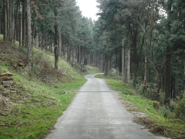 加里山 (209).JPG