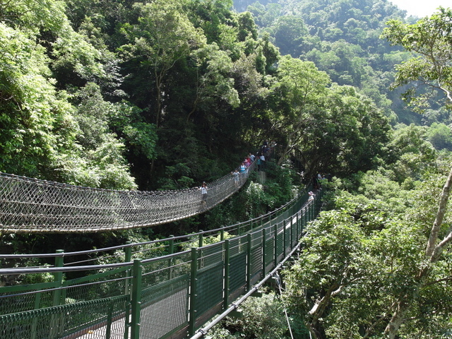 小錐麓步道 (27).JPG