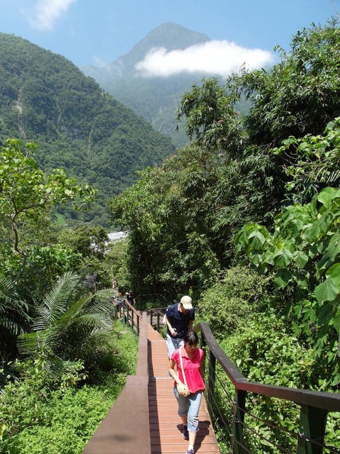 小錐麓步道 (26).JPG