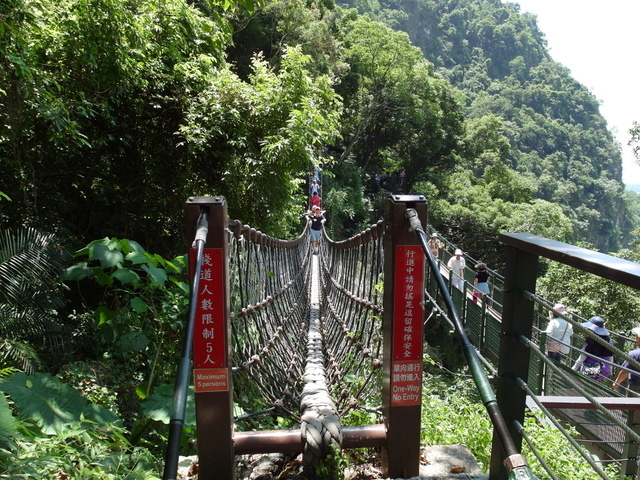 小錐麓步道 (36).JPG