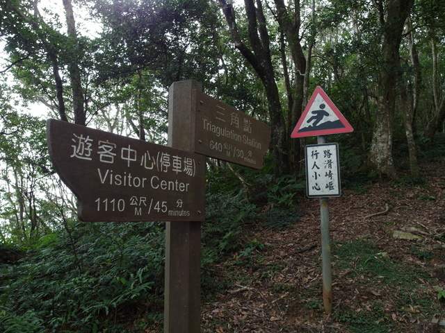 東眼山 (42).JPG