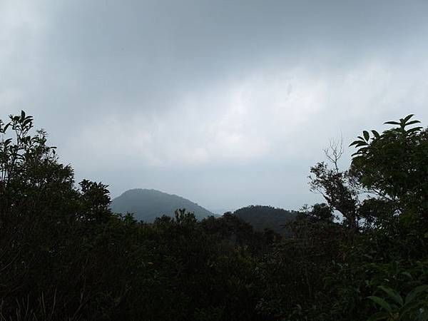 東眼山 (65).JPG