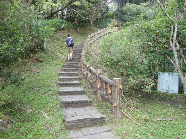 東眼山 (127).JPG