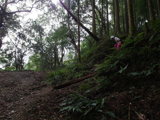 東眼山 (189).JPG