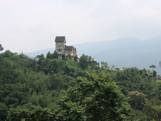 東眼山 (198).JPG