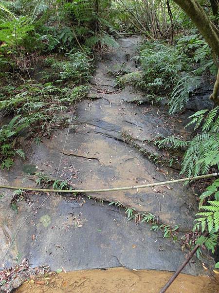 九五峰、四分里山 (8).JPG