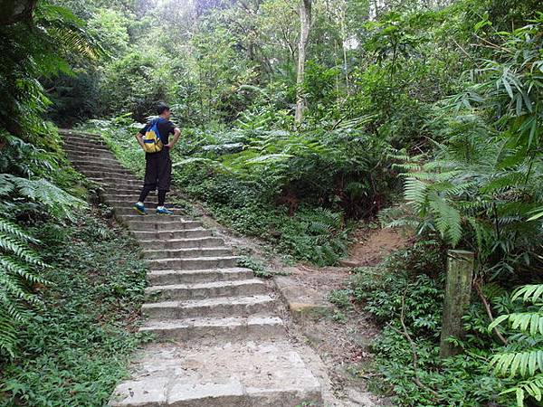 九五峰、四分里山 (13).JPG