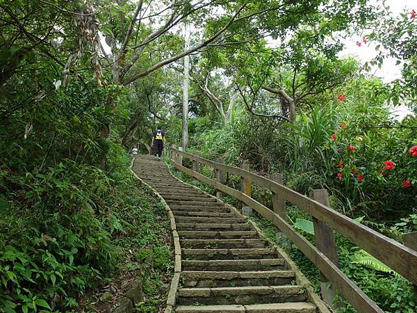 九五峰、四分里山 (48).JPG