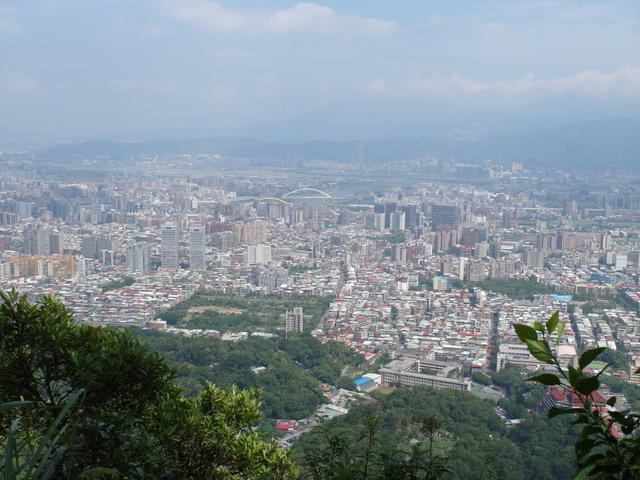 九五峰、四分里山 (65).JPG