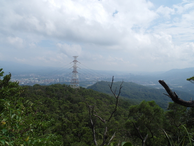 九五峰、四分里山 (82).JPG