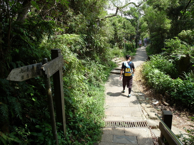 九五峰、四分里山 (95).JPG