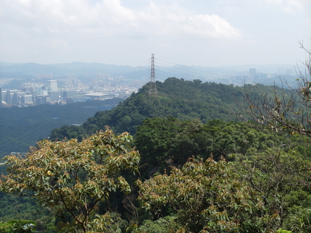 九五峰、四分里山 (94).JPG