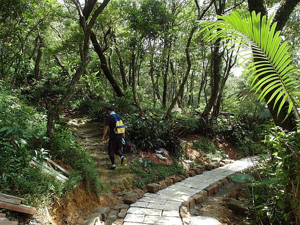 九五峰、四分里山 (102).JPG