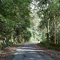 青山產業道路 (12).jpg