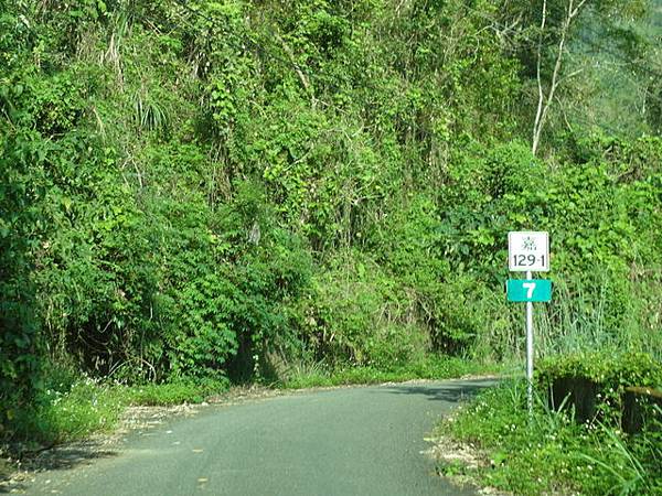 青山產業道路 (13).jpg