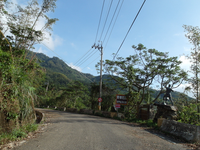 青山產業道路 (16).jpg