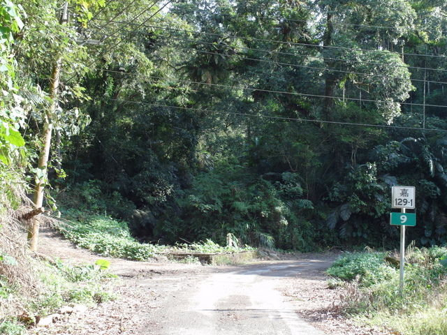 青山產業道路 (19).jpg