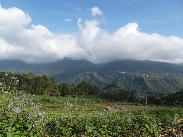 青山產業道路 (26).jpg