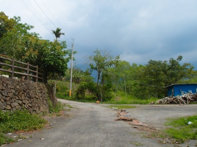 青山產業道路 (36).jpg