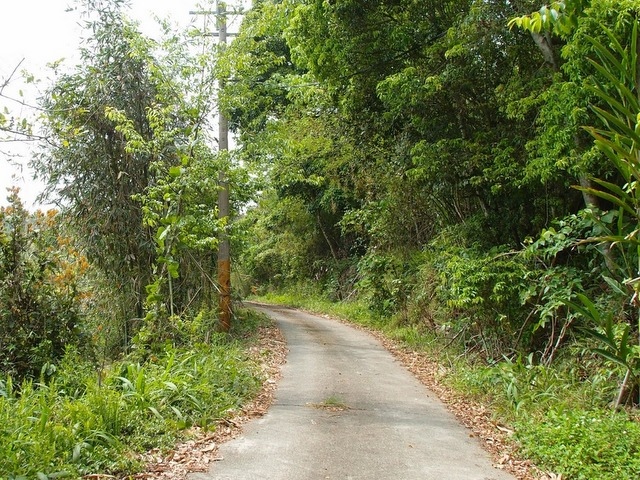 青山產業道路 (37).jpg