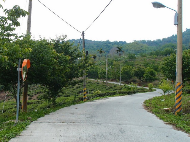 青山產業道路 (44).jpg