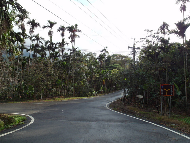 青山產業道路 (50).jpg