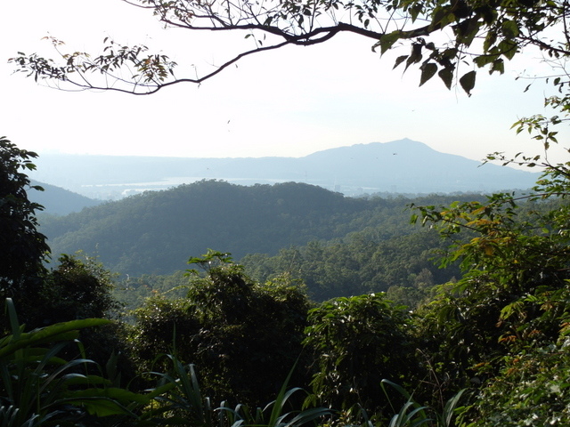 剪刀石山 (517).JPG