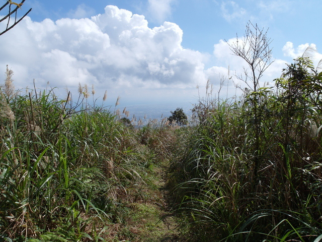 烘爐地山 (29).JPG