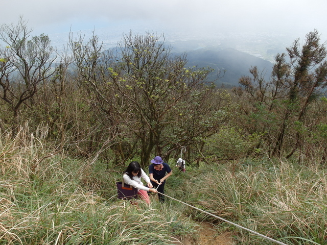 烘爐地山 (49).JPG