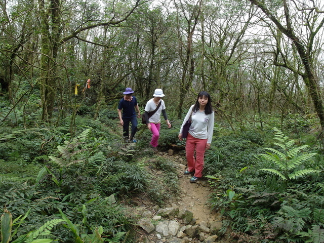 烘爐地山 (62).JPG