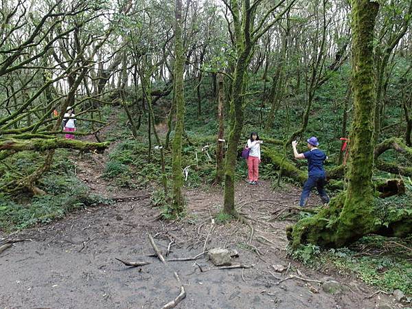 烘爐地山 (68).JPG