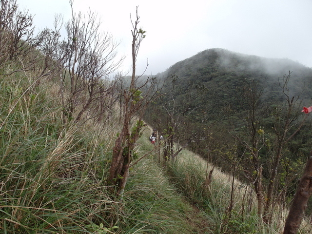 烘爐地山 (70).JPG