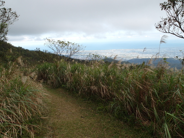 烘爐地山 (100).JPG