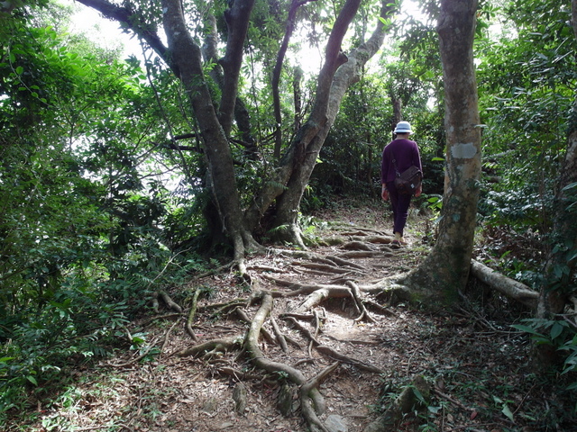 朝陽步道 (41).JPG