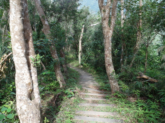 朝陽步道 (68).JPG