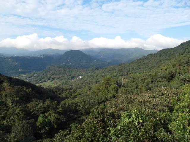 小溪頭步道 (3).JPG