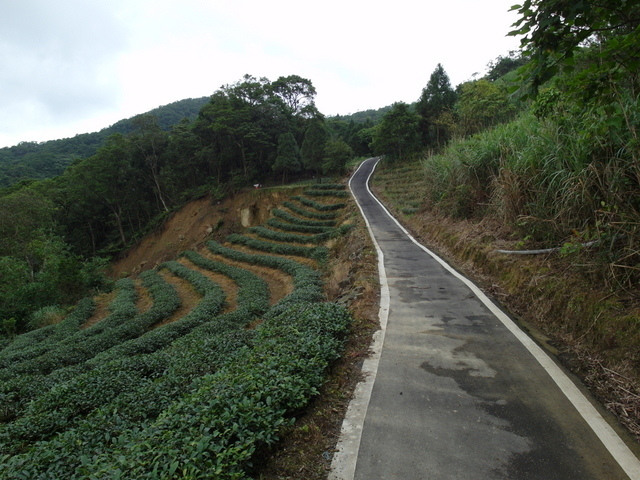 粗坑崙山 (11).JPG