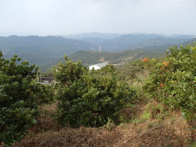 風露嘴山 (18).JPG