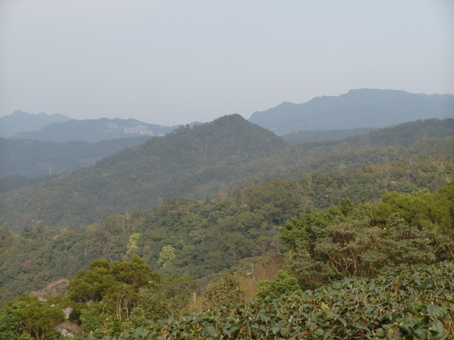 風露嘴山 (22).JPG