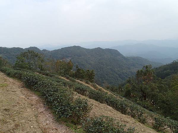 風露嘴山 (30).JPG