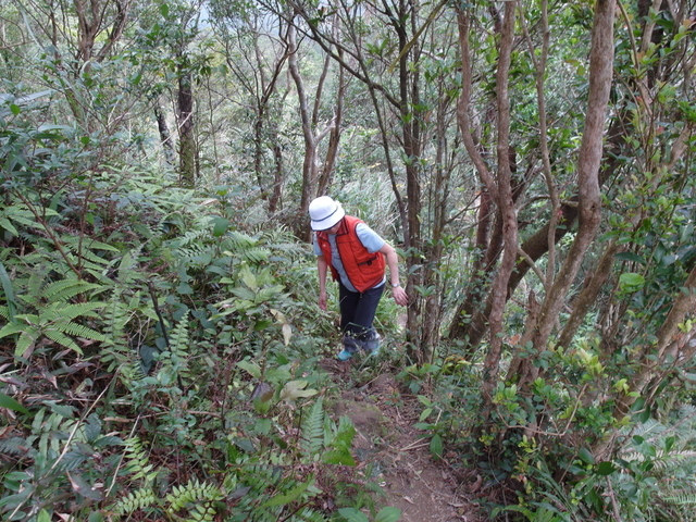 風露嘴山 (51).JPG